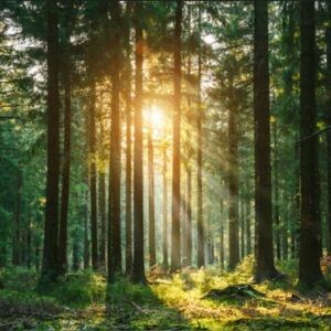 Meet your Posher, Davey